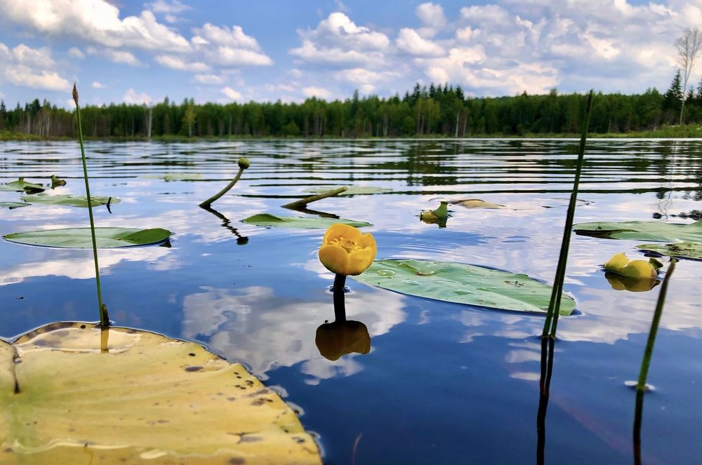 Photograph by Ольга