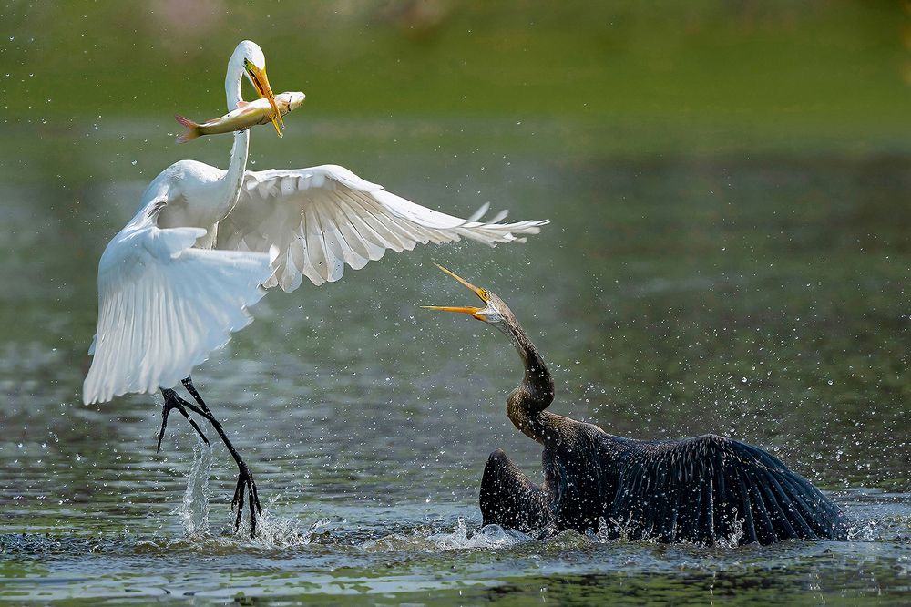 Photograph by Mrinal Sen