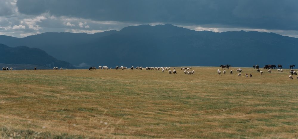 Photograph by Анастасия Рыбалко