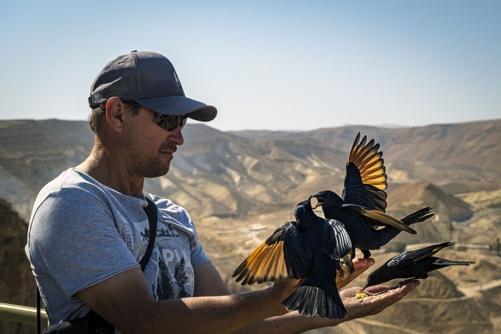 Photograph by Алёна Думнова