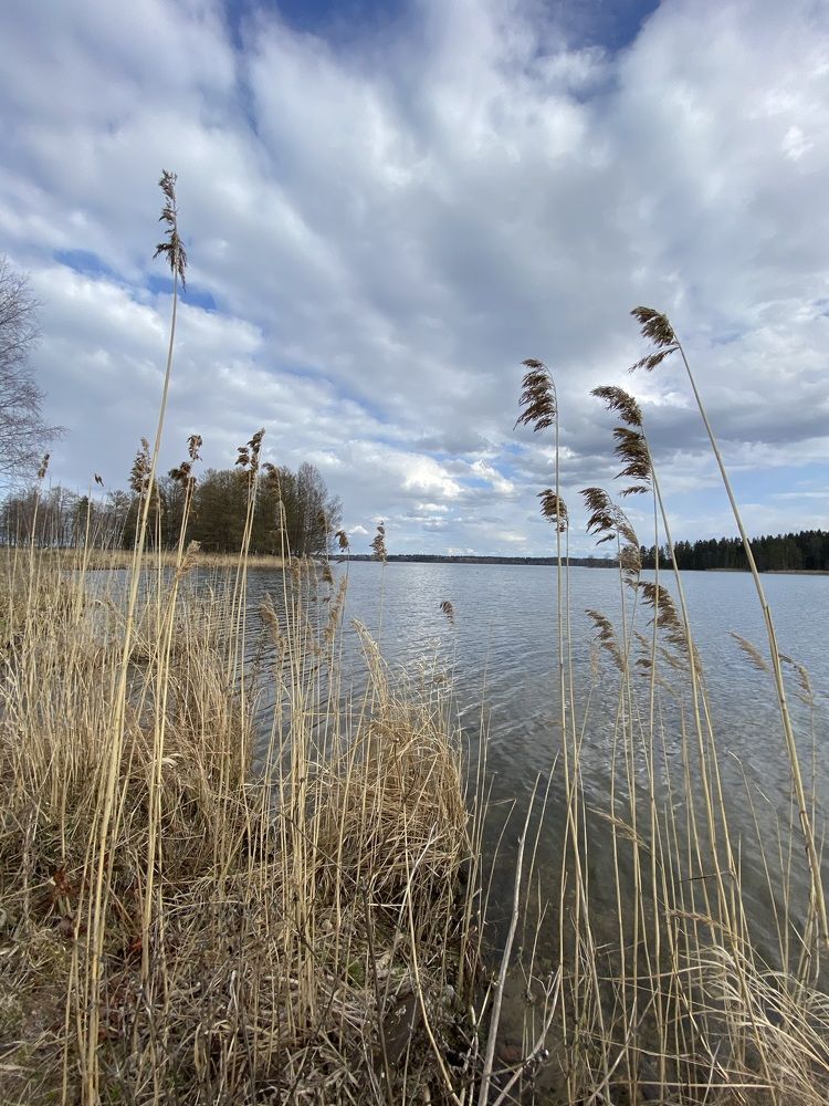 «Весна на Валдае.»