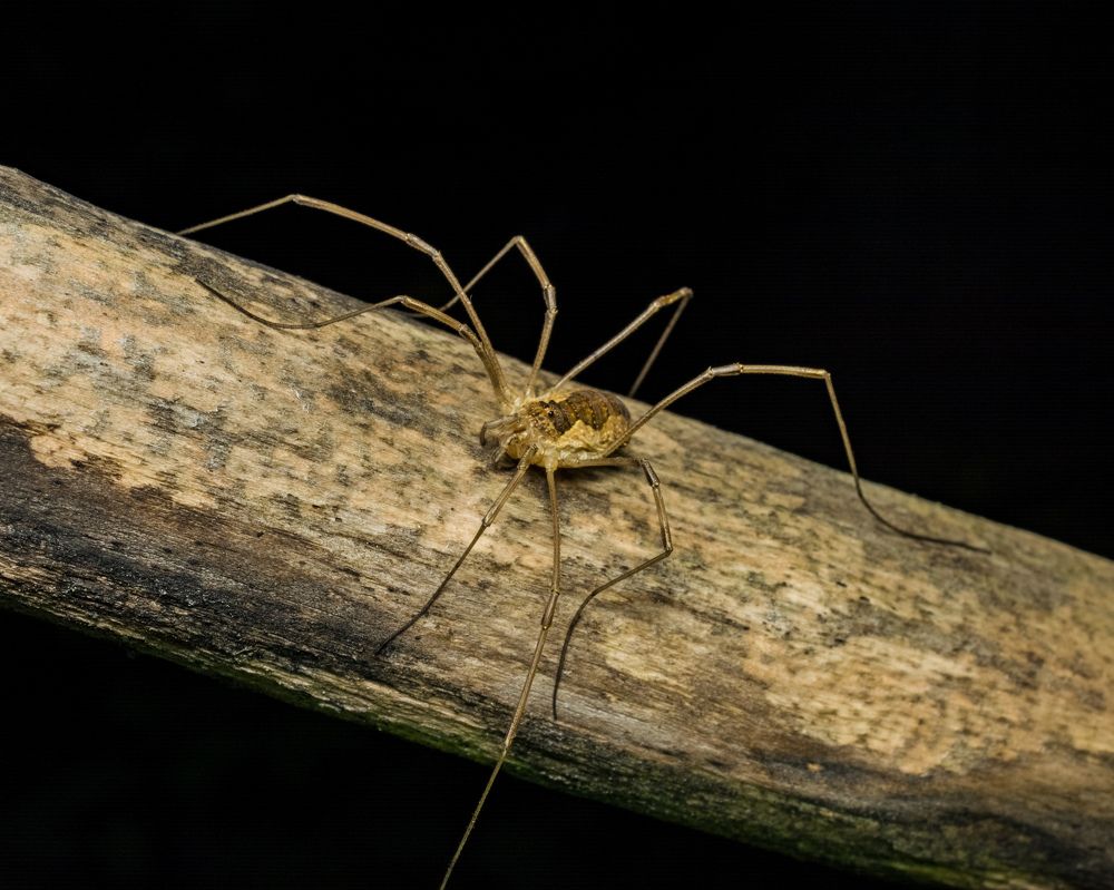 Photograph by Николай Головко