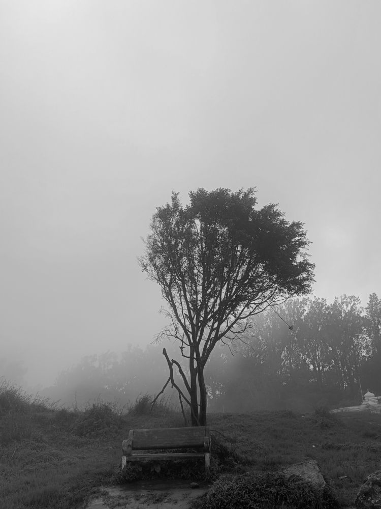 Photograph by Kavinkumar M