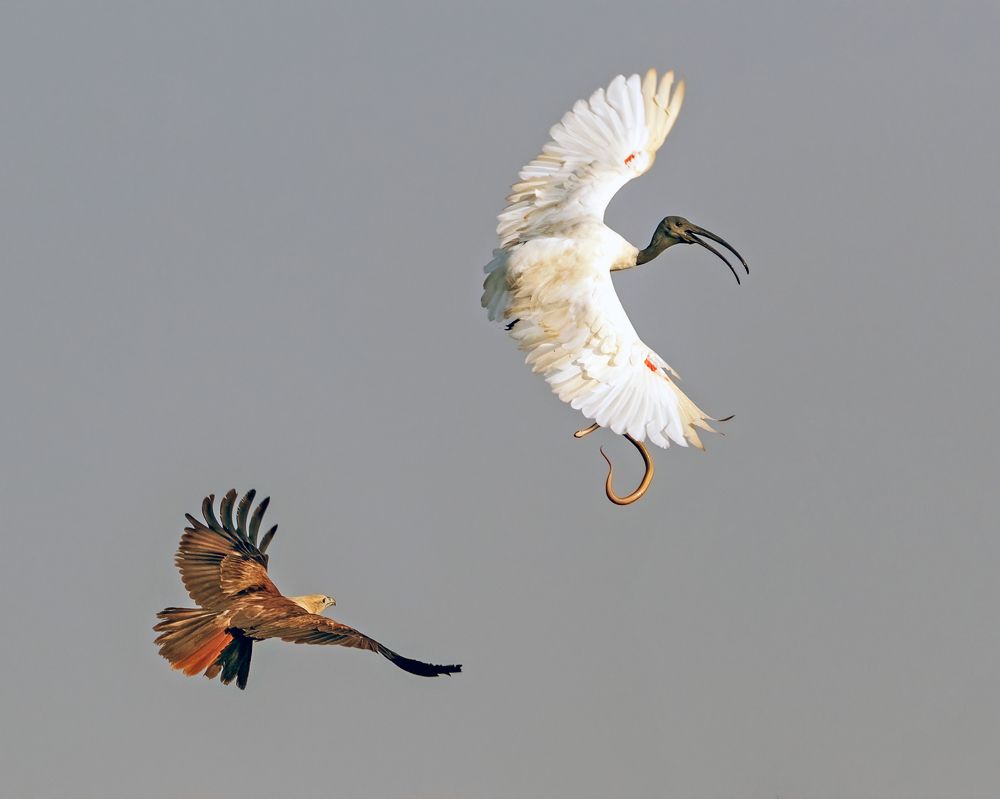 Photograph by Sourav Ganguli