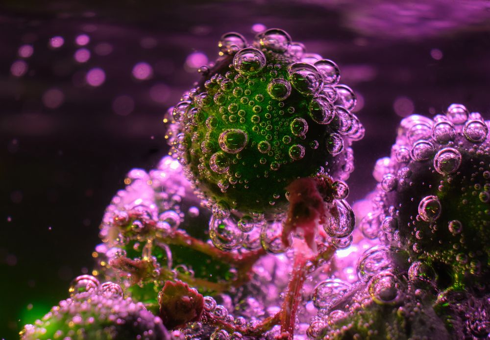 Photograph by Василий Арлашов