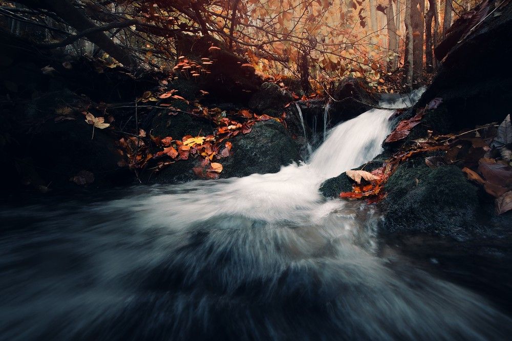 Photograph by Jan Musil