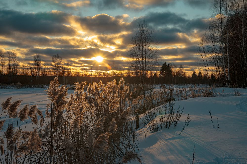 Photograph by Петр Жаринов