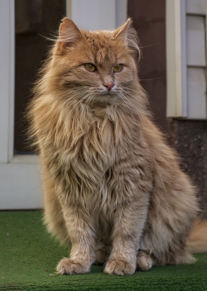 Photograph by Давид Тетельман