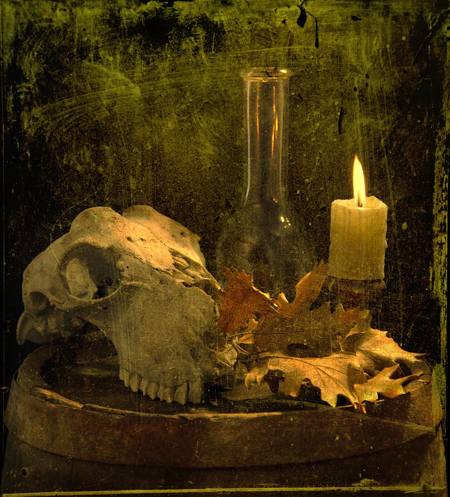 Photograph by Sergey Klimenko