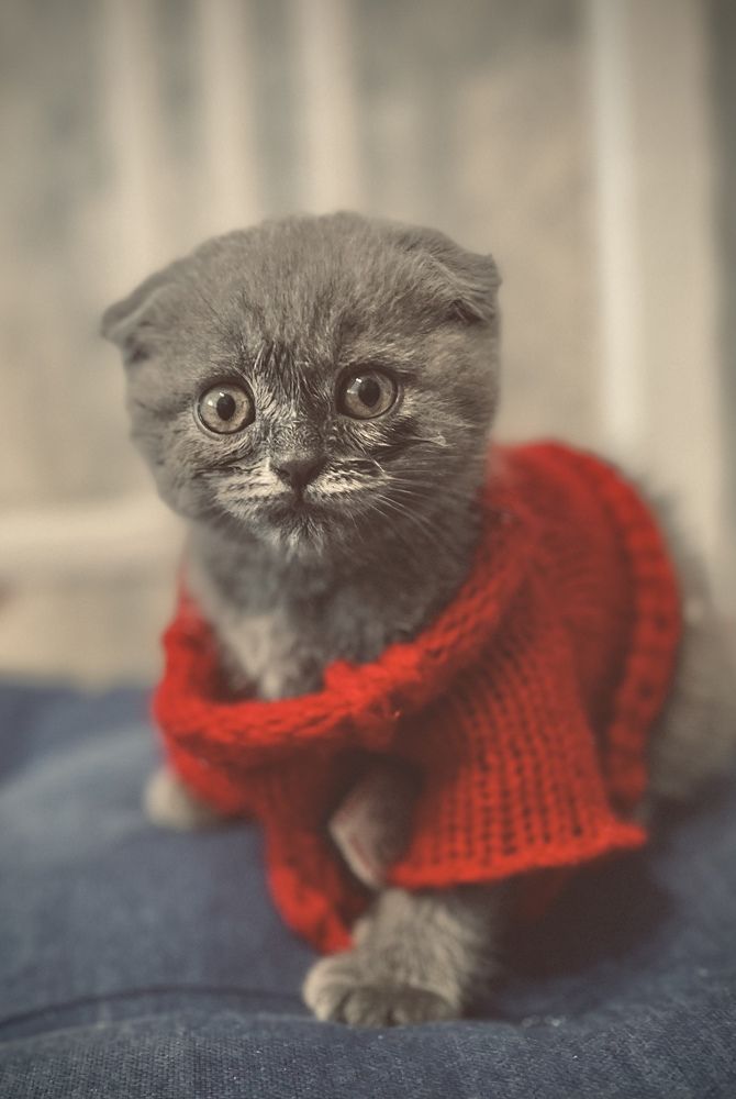 Photograph by Гаврил Павлов