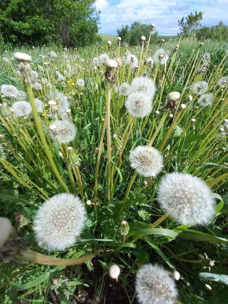 Photograph by Нина Романюк