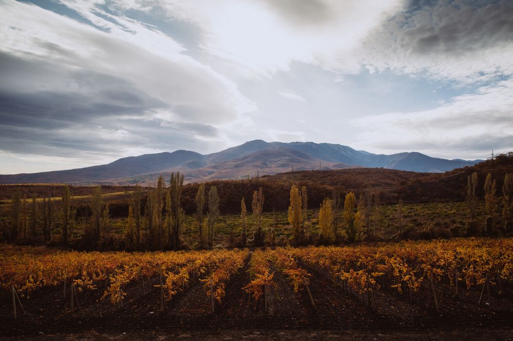 Photograph by Елена Яндульская