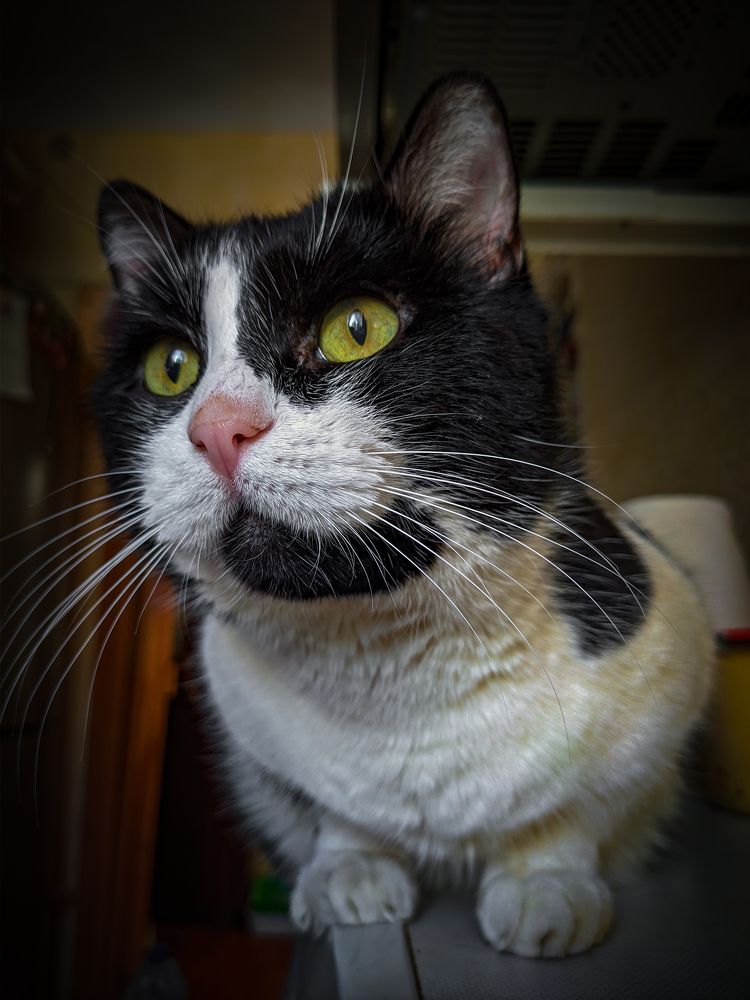 Photograph by Тимур Мулла-Галеев