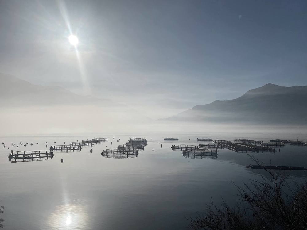 Photograph by Елена Хорошильцева