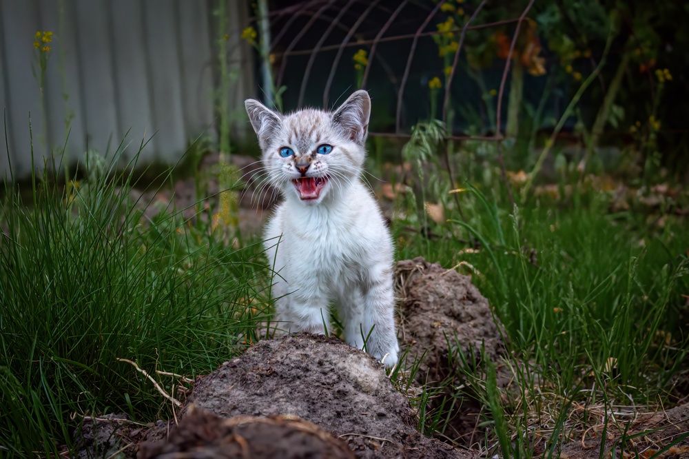 Фотография автора Angela Miller