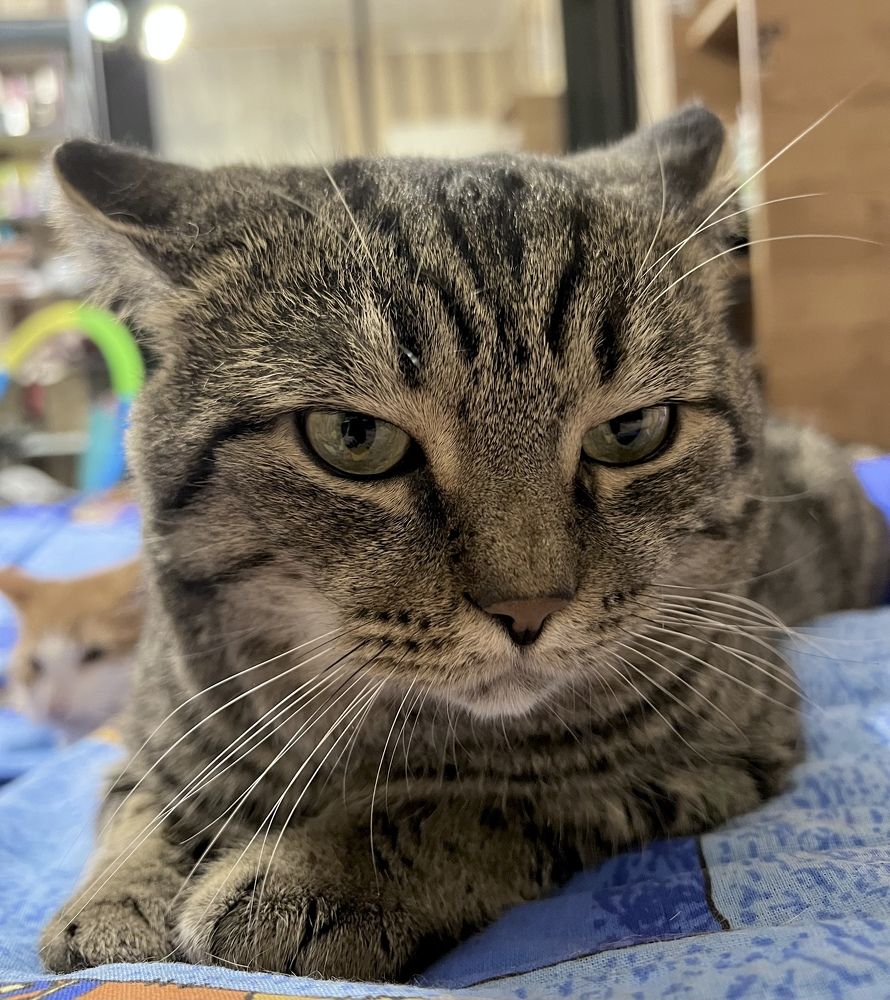 Photograph by Ксения Любченко