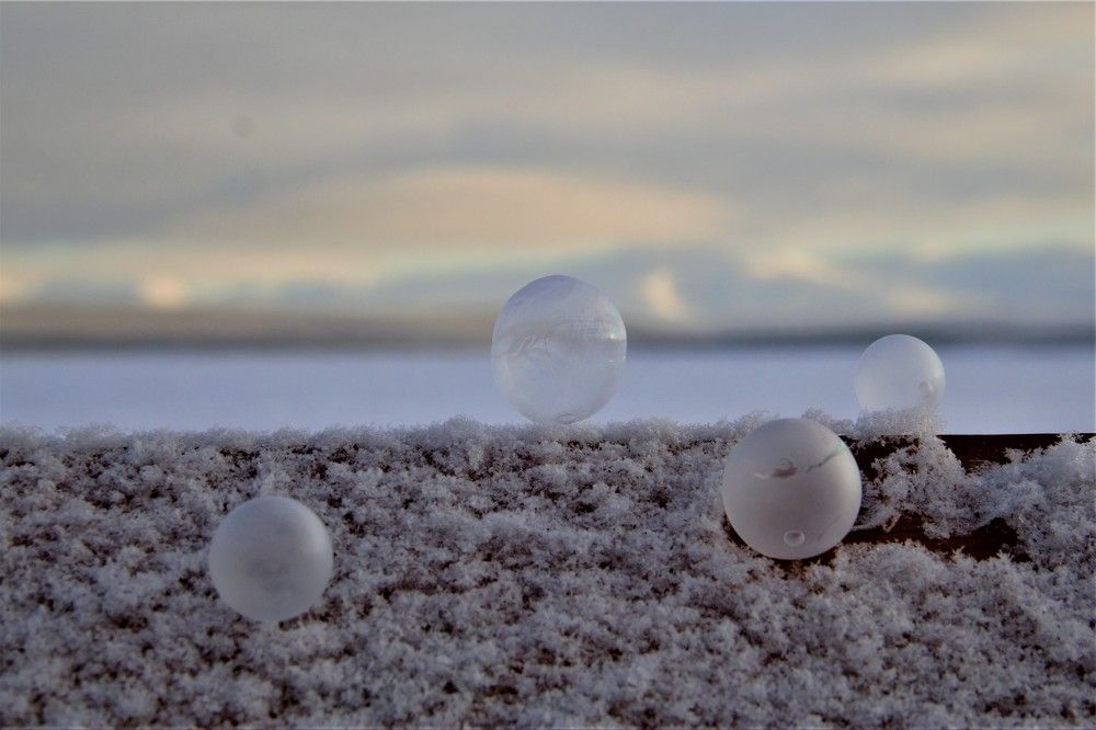 The Arctic.