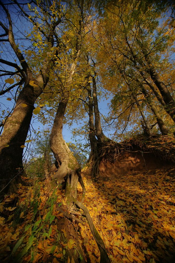 Photograph by Андрей Михайлов