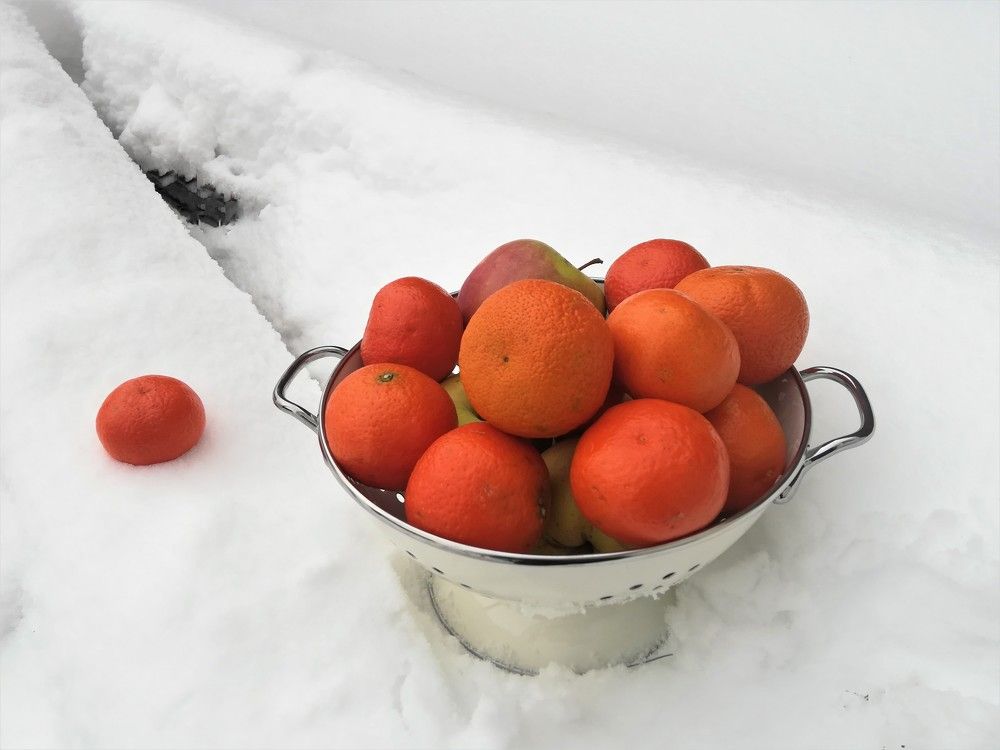 Photograph by Алина Акимова