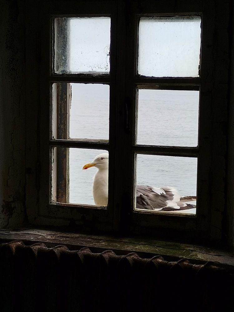 Photograph by Екатерина Исаева