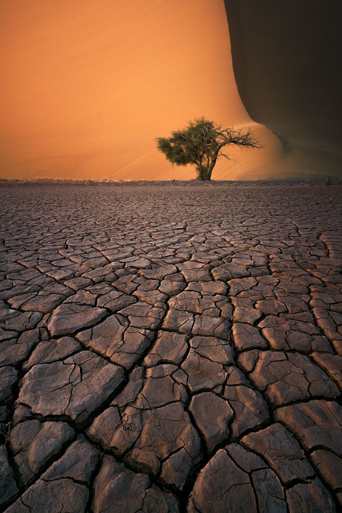 Photograph by Daniel Viñé Garcia