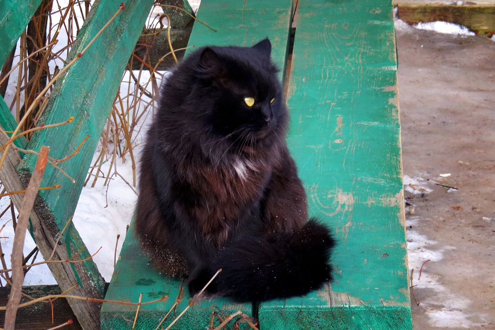 Photograph by Наташа Фишер