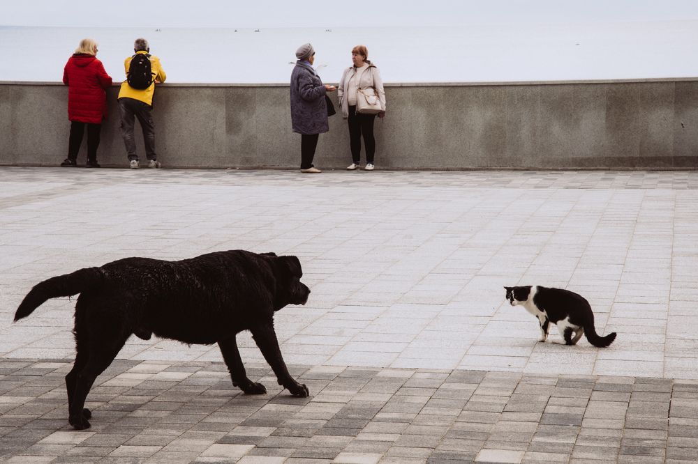 Photograph by Елена Яндульская