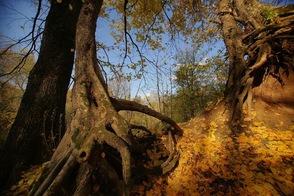 Photograph by Андрей Михайлов