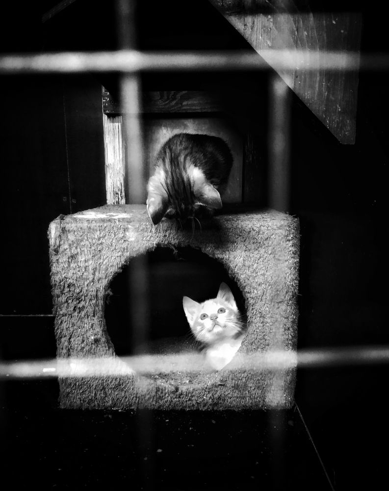 Photograph by Jekaterina Smolicka