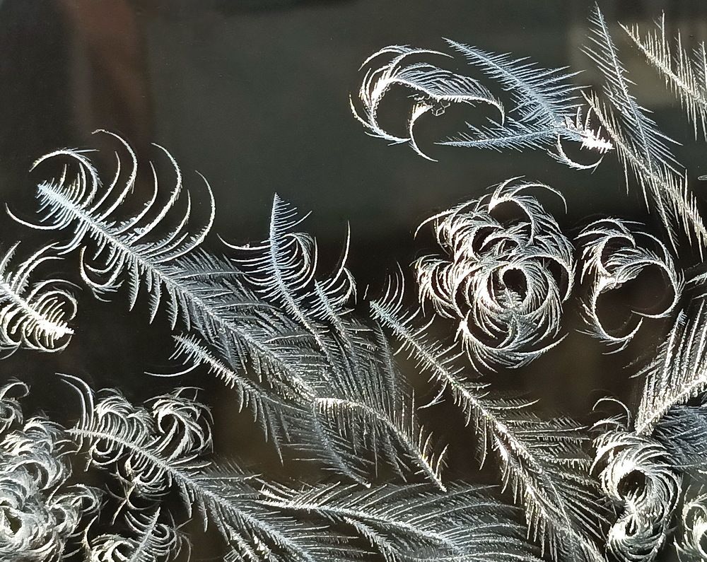 Photograph by Sergei Petrov