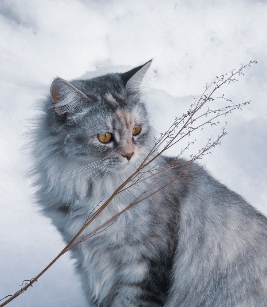 Photograph by Елена Гарипова