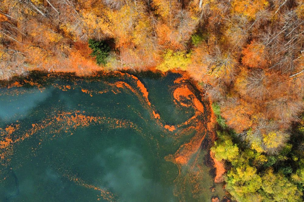 Photograph by Евгений Цапенко