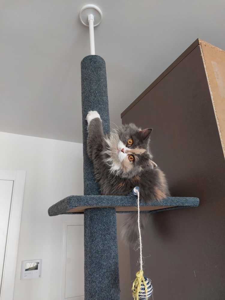 Photograph by Анастасия Никитина