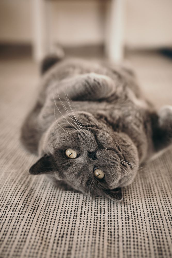 Взгляд с другого ракурса