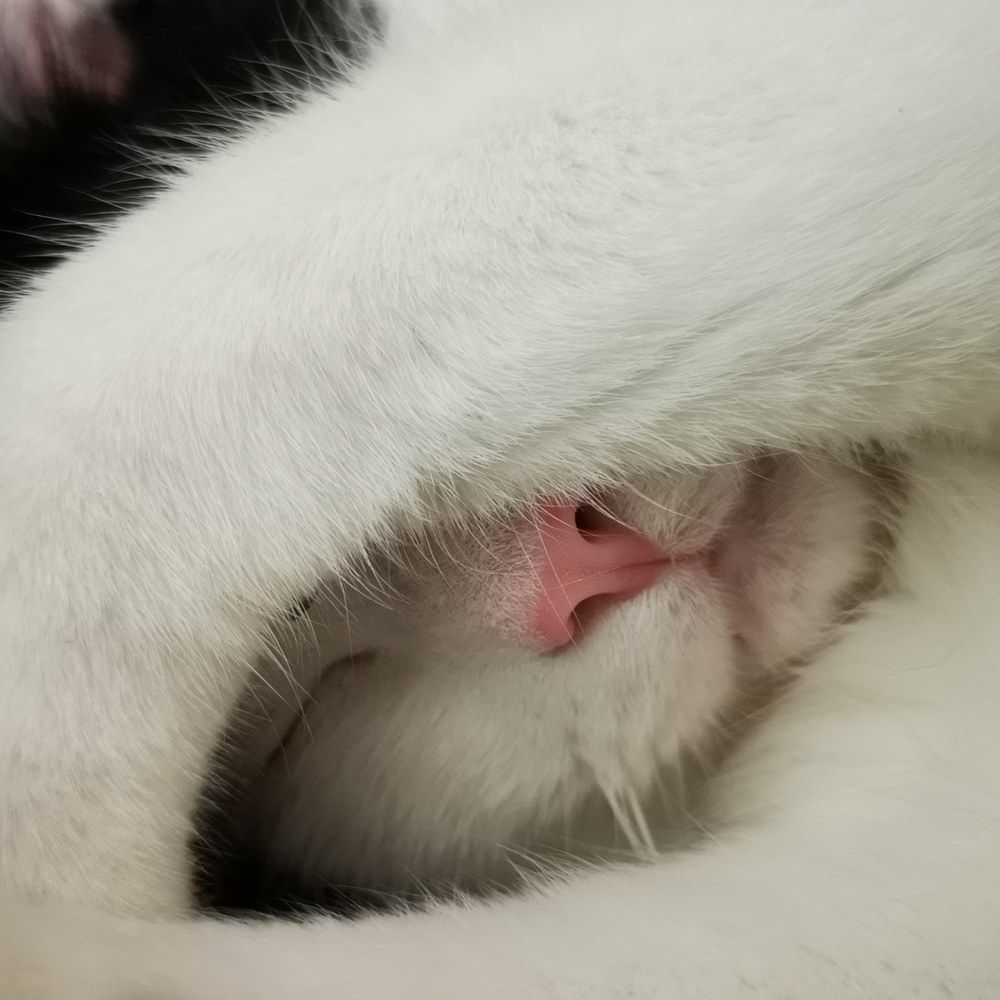 Photograph by Kolomietc Mariia