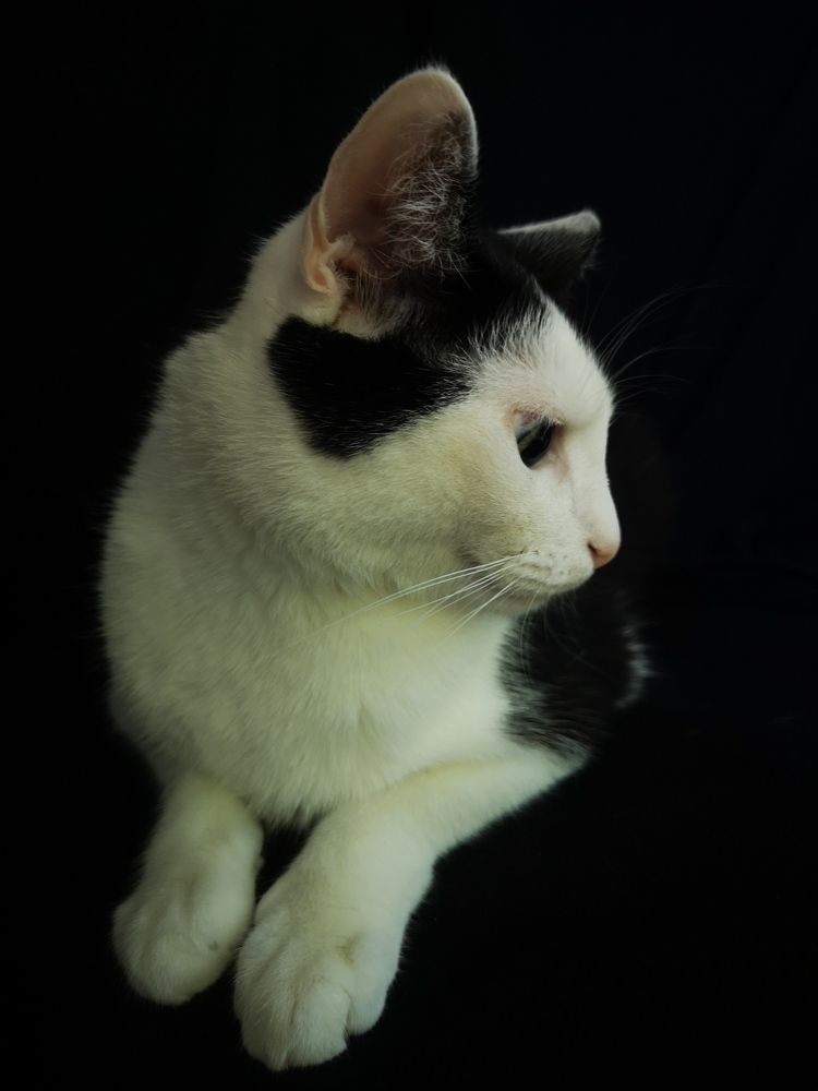 Photograph by Kolomietc Mariia