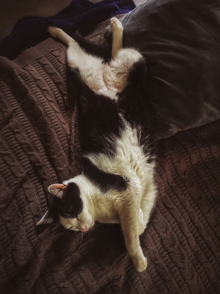 Photograph by Kolomietc Mariia