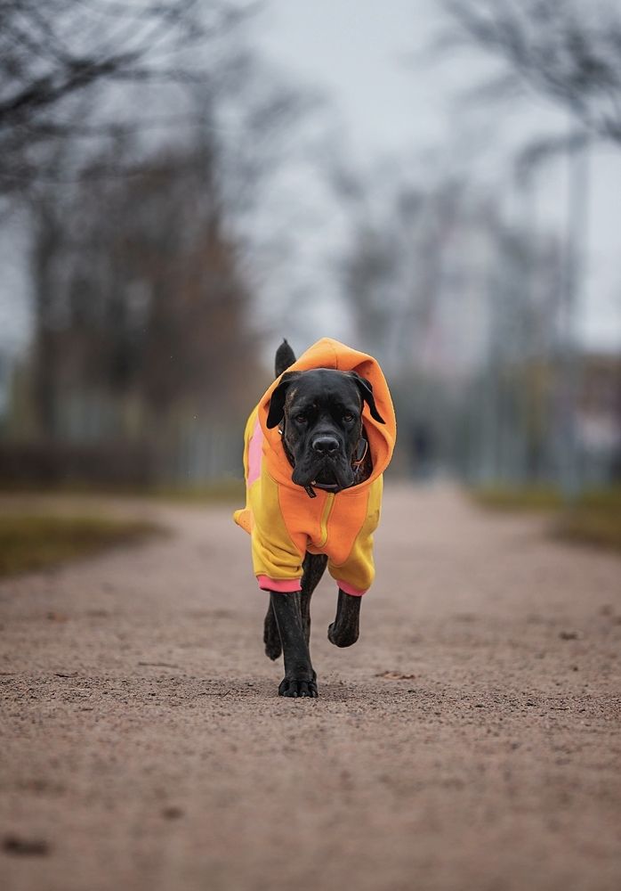 Photograph by Marie Romanova