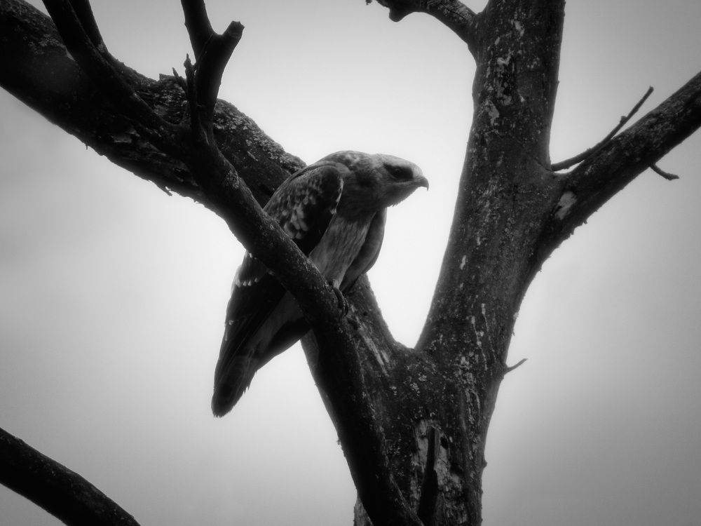 Photograph by Пухачёв Антон