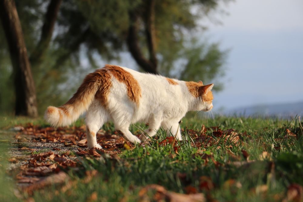 Photograph by Dimitri