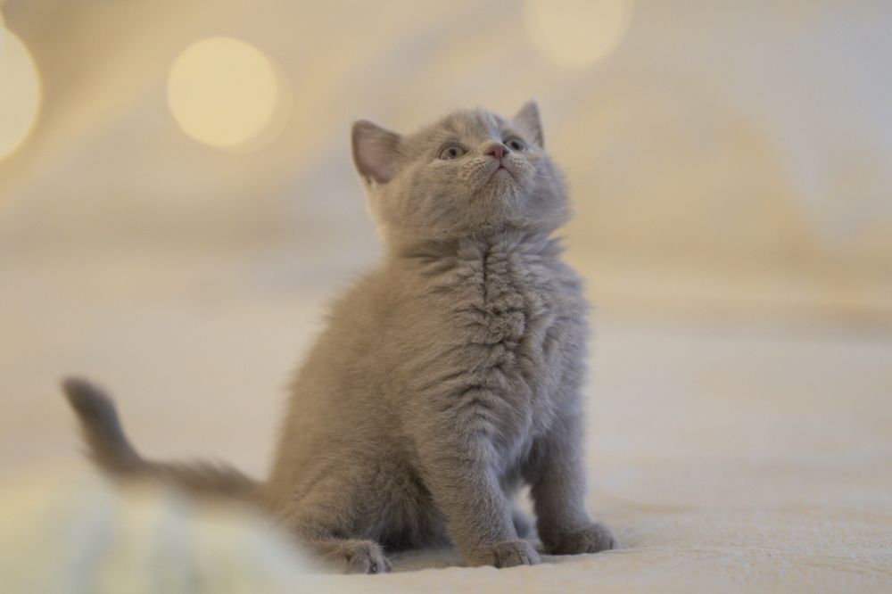 Photograph by Marie Romanova