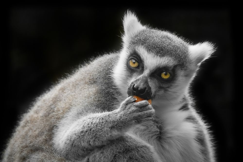 Photograph by Jesus Frias