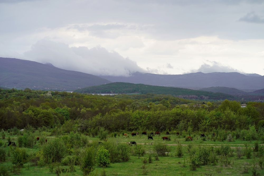 Photograph by Алина Игошева