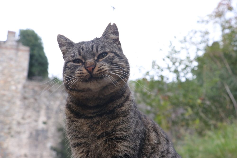 Photograph by Dimitri