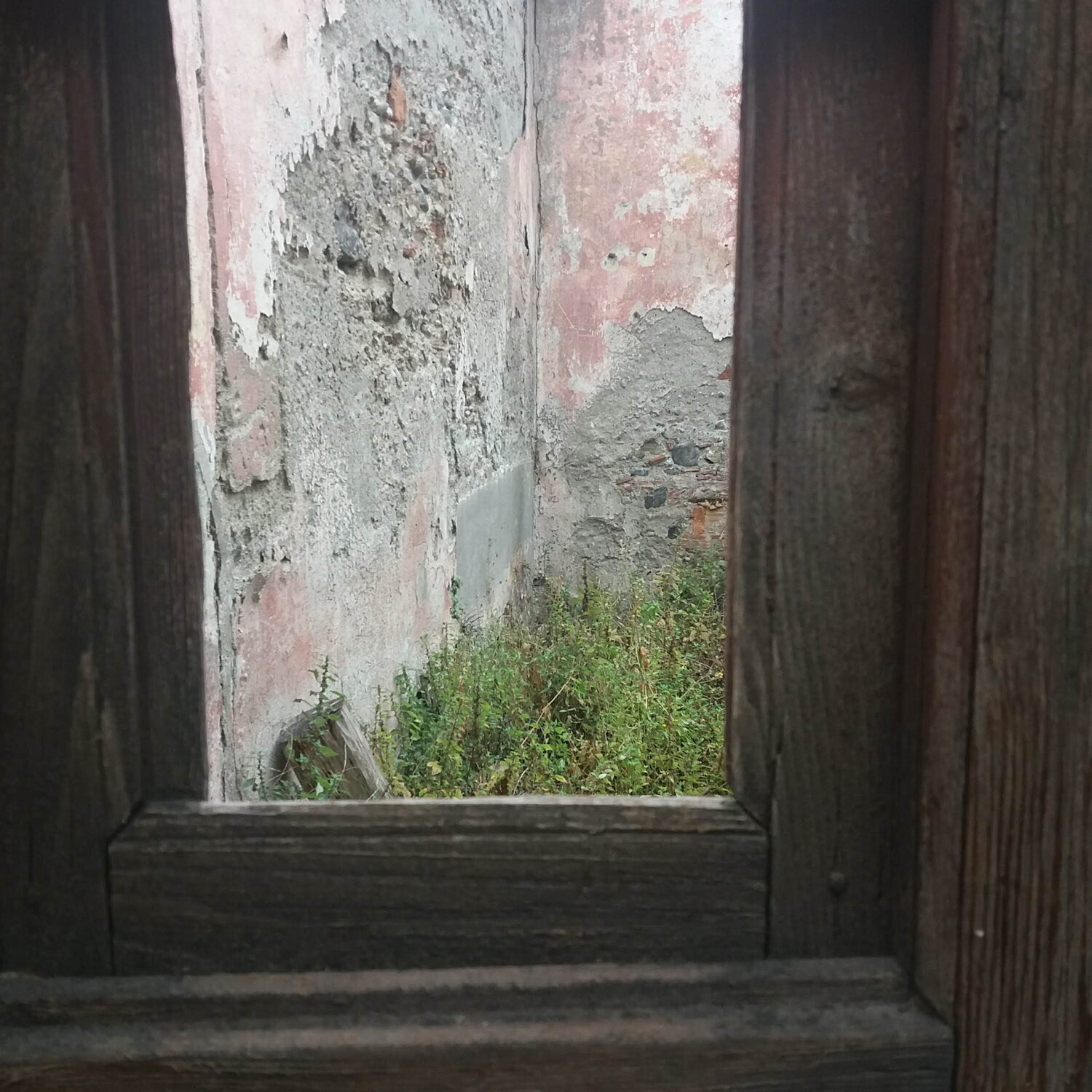 Photo #8825723