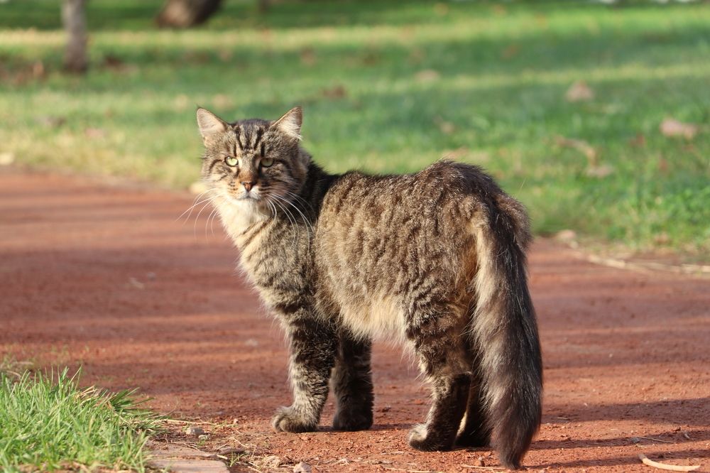 Photograph by Dimitri