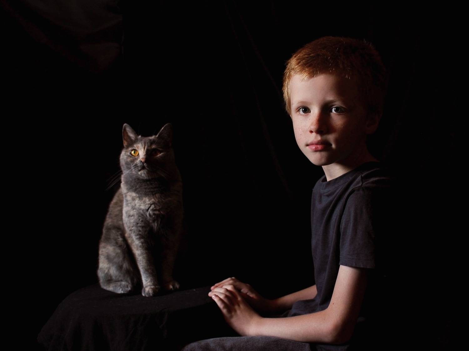 Photo #8825770