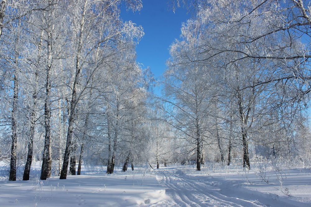 Photograph by Наталья Юрова