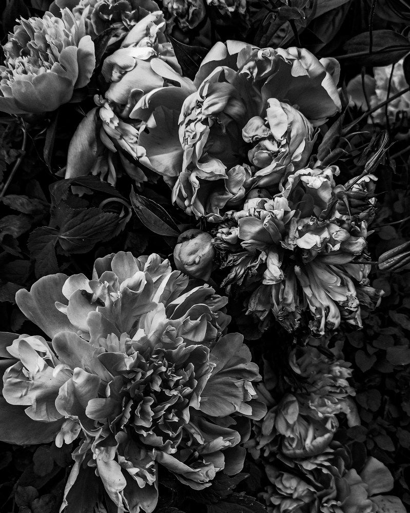 Photograph by Елена Подшевалова