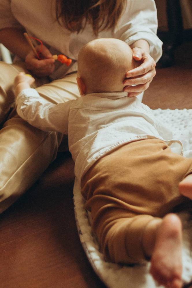 Домашние истории